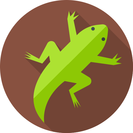 Gecko - AWS Lambda Testing